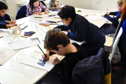 Photo Little Planches Contact