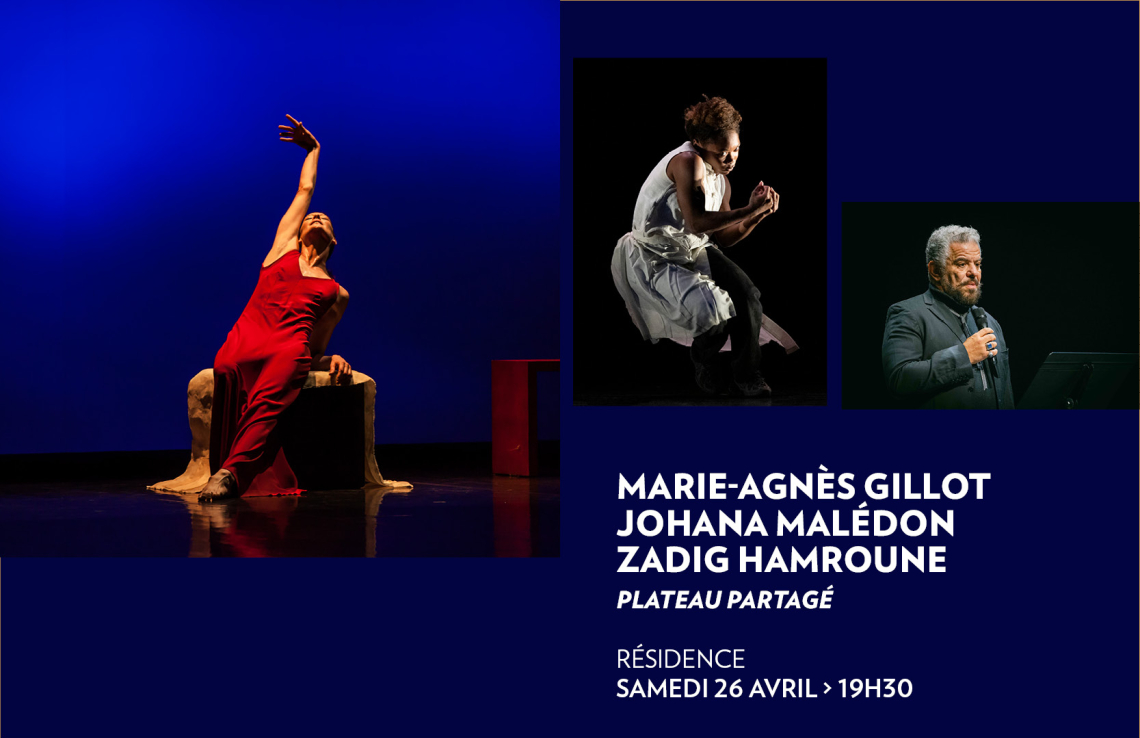 Marie-Agnès Gillot, Johana Malédon & Zadig Hamroune